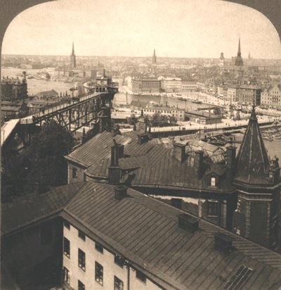 Stockholmsgator från Mosebacken, Sverige, 1905. av Works and Sun Sculpture Studios
