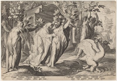 Phaetons systrar förvandlades till poppel och Cygnus till en svan av Workshop of Hendrick Goltzius, after Hendrick Goltzius