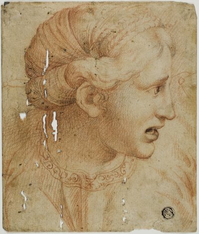 Kvinnohuvud i profil, vänd åt höger av Workshop of Raphael