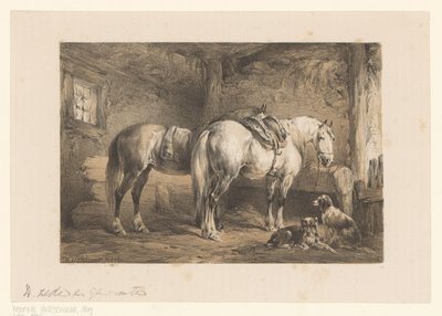 Zwei Pferde und Hunde in einem Stall von Wouter  Verschuur