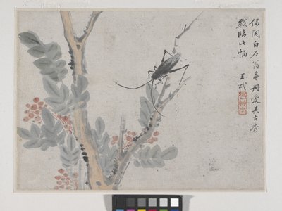 Insekt och träd efter Shen Zhou (bläck och färg på papper) av Wu Wang