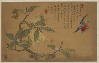 Fågel, frukt och blommor av Wu Zhang