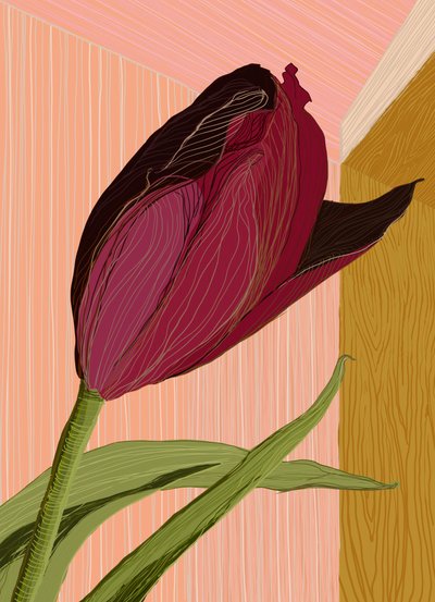 Crimson Tulip-hörnan av XHOZUCAN