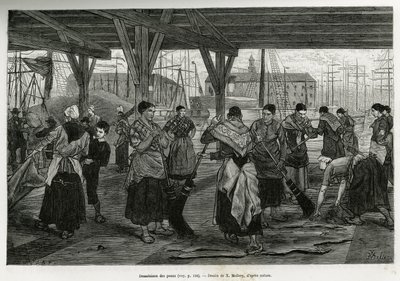 Avsaltning av skinnen, genom att kvinnor skrapar resterna av bestarna som sträcks ut under strukturerna i hallarna i Antwerpens hamn. Gravyr av X.Mellery, för att illustrera historien om Belgien, av Camille Lemonnier, publicerad i Tour du monde, redigera av Xavier Mellery