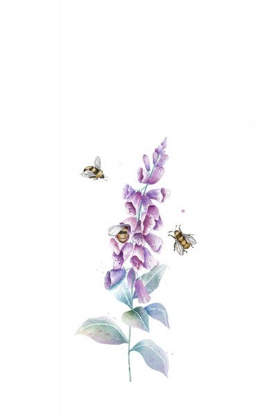 Akvarellmålningar av bin och blommor av Xuan Thai