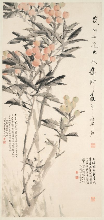 Pipa Loquats, ca. 1888-89. av Xugu