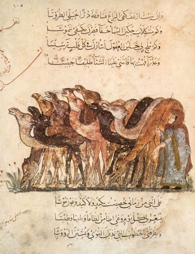 Ms Ar 5847 f.101, flock kameler, från Al Maqamat (The Meetings) av Al Hariri, c.1240 (se även 1258010) av Yahya ibn Mahmud Al Wasiti