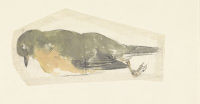 död rödhake av Yamamoto Shinryo Baiitsu