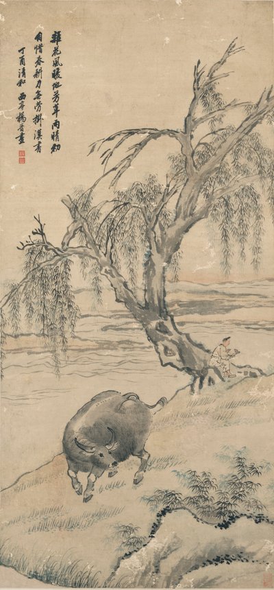 Buffalo på Willow Bank av Yang Jin