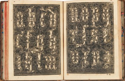 Sammanställning subtilissima, med titeln Orthographia pratica, 1548. av Yciar