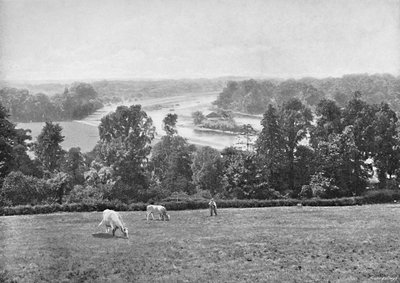 Från Richmond Hill, Surrey, c1896 av York and Son