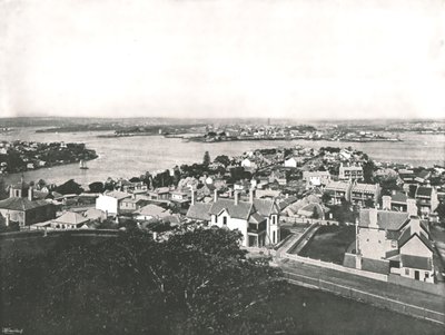 Utsikt från North Shore, Sydney, Australien, 1895. av York and Son