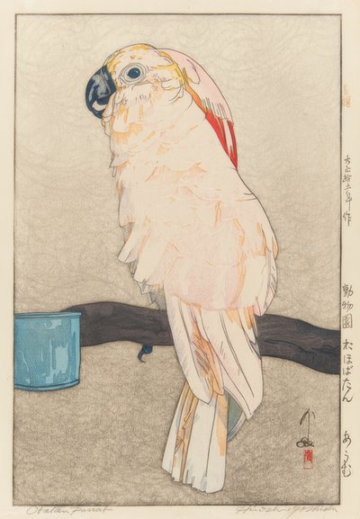Sittich, medicin av Yoshida Hiroshi
