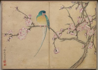 Skrivbordsalbum: Blomster- och fågelmålningar (Fågel med plommonblommor) av Zhang Ruoai