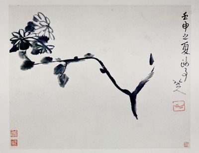 Krysantemum, 1692 av Zhu Da