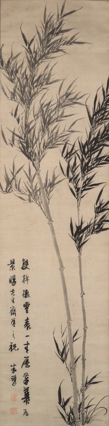 Bambu av Zhu Lu