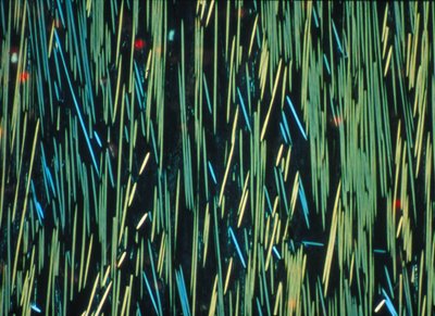 KOMPOSIT, LM PMC kolfiber i en polymermatris av Frederick (attr. to) Barnard