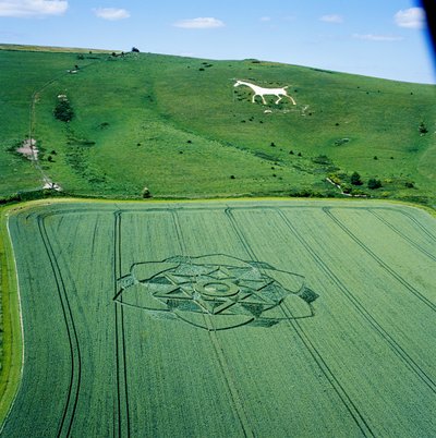 Grodcirkel i vetefält, Milk Hill, Alton Priors, Vale of Pewsey, Wiltshire av Ferdinand Georg Waldmuller