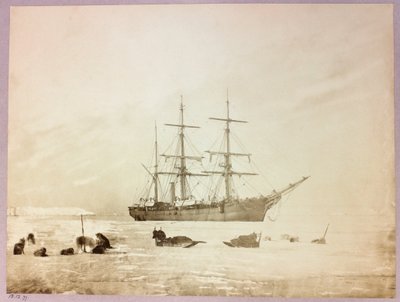 Arktisk expedition (1875-1876) av kapten George Nares (1831-1915): H av Frederick (attr. to) Barnard