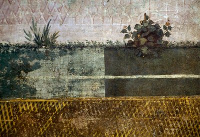 Blomvas, detalj från en fresk föreställande en trädgård med fruktträd och fåglar, från huset av Livia på Palatine-kullen, Rom, Italien. romersk civilisation av Georg Carl Heinrich Dollmann