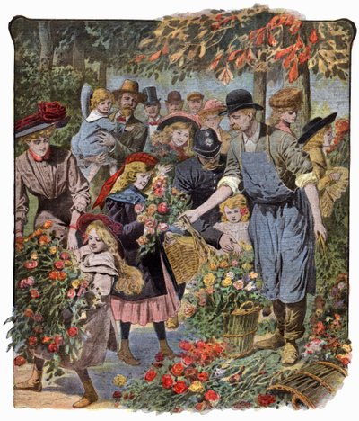 Blommor distribution av . .