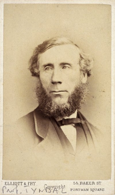 John Tyndall, irländsk fysiker, ca 1875 av Frederick (attr. to) Barnard