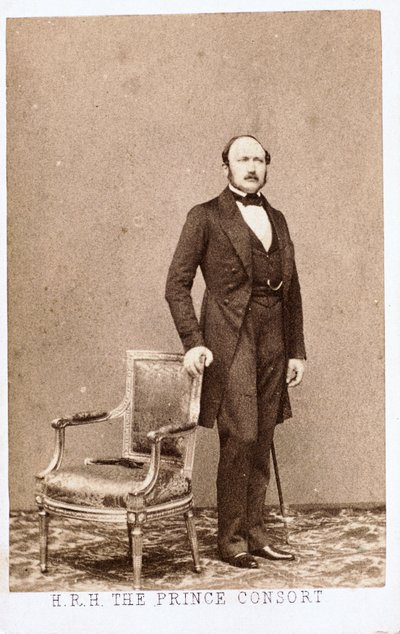 Prins Albert, gemål till drottning Victoria, ca 1860 av Frederick (attr. to) Barnard