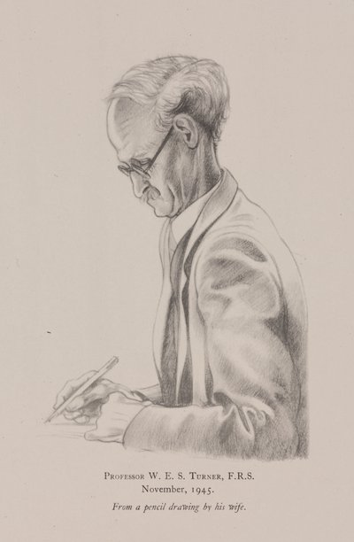 Professor W E S Turner, november av Frederick (attr. to) Barnard