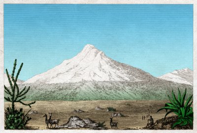 Chimborazo-vulkanen från platån Tapia, Ecuador. cirka 1840 (gravyr) av . .