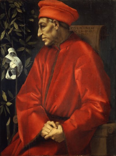 Porträtt av Cosimo den äldre av Pontormo