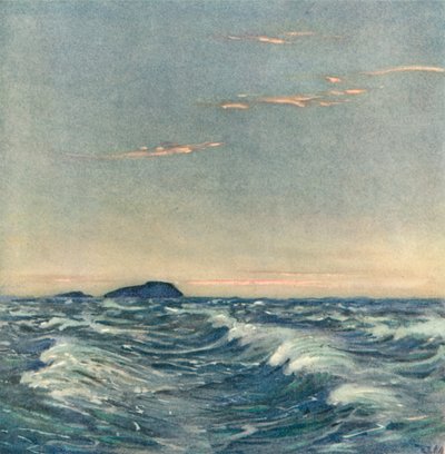 Vita hästar av after Donald Maxwell