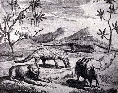 Creatures of the Northern River Plate, som avbildats av en tidig konstnär, från Nierhoffs Voyages and Travels, från The Romance of the River Plate, Vol. I, av W. H. Koebel, 1914 av after German School