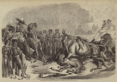 Tjurfäktning vid Bayonne, slaget från Picadore av Gustave after Dore