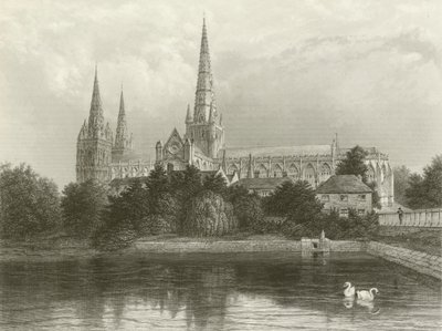 Lichfield katedral av Henry after Warren
