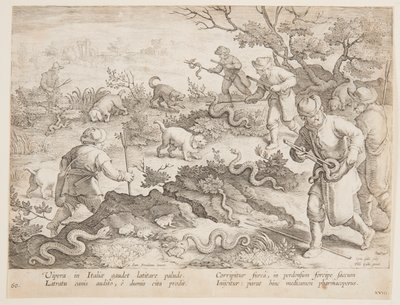 Jagar ormar av after Jan van der Straet, called Stradanus