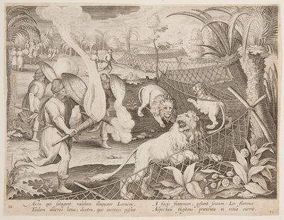 Lejonfälla av after Jan van der Straet, called Stradanus