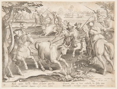 Fånga vilda tjurar av after Jan van der Straet, called Stradanus