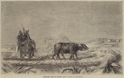 Treading Corn in Egypt  av after Jean Leon Gerome