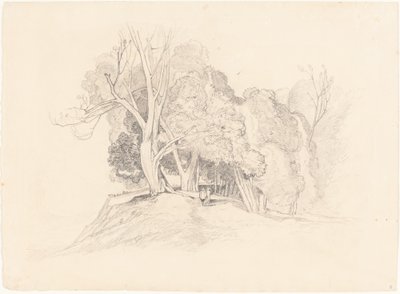 Landskap med träd av after John Sell Cotman British 19th Century