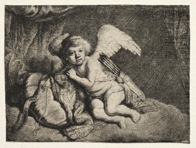 Amor vilar av after Rembrandt van Rijn
