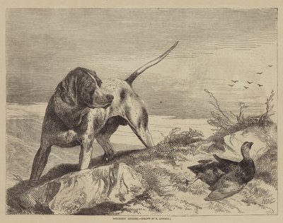 Sårad ripa av after Richard Ansdell