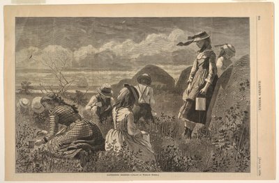 Samla bär av Winslow Homer