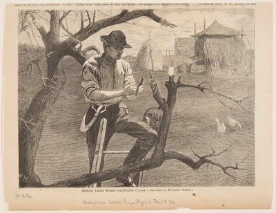Vårgårdsarbete – ympning av Winslow Homer
