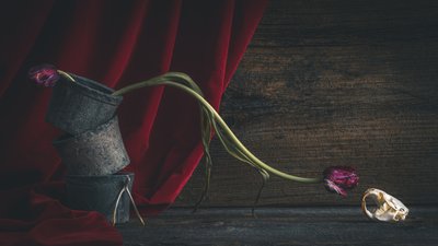 Mörk blommig dödskalle av alan shapiro