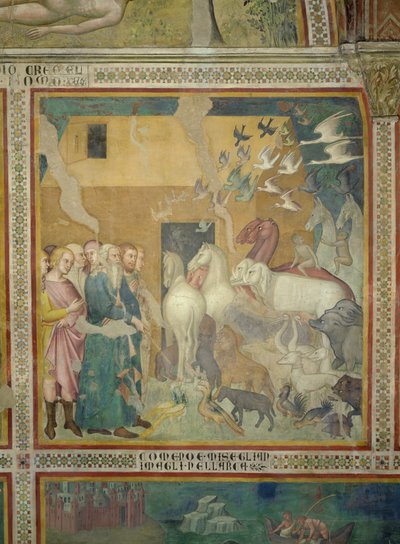 Noah Leading the Animals into the Ark, 1356-67 (se även 59303) av also Manfredi de Battilori Bartolo di Fredi