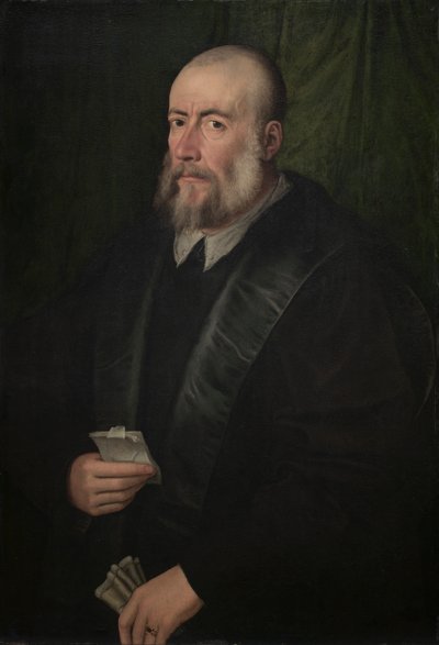 Porträtt av en gammal man av attributed to Giulio Campi
