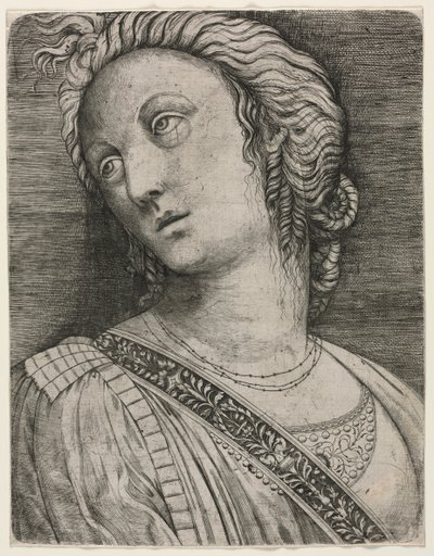 Byst av en kvinna av attributed to Jacopo de