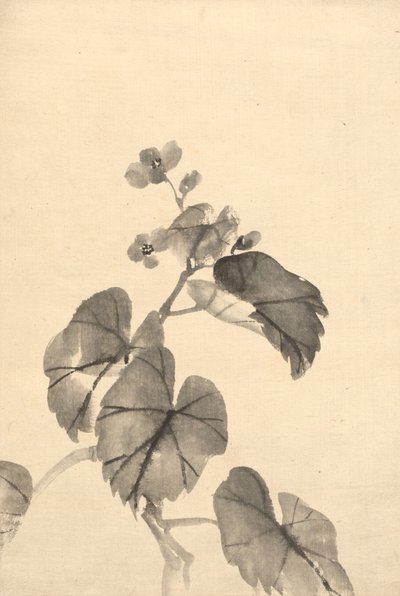 Gren av Begonia i blom av attributed to Kono Bairei