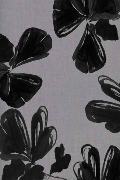 Abstrakta svarta blommor av cartissi