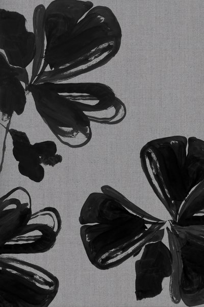 Abstrakta svarta blommor av cartissi